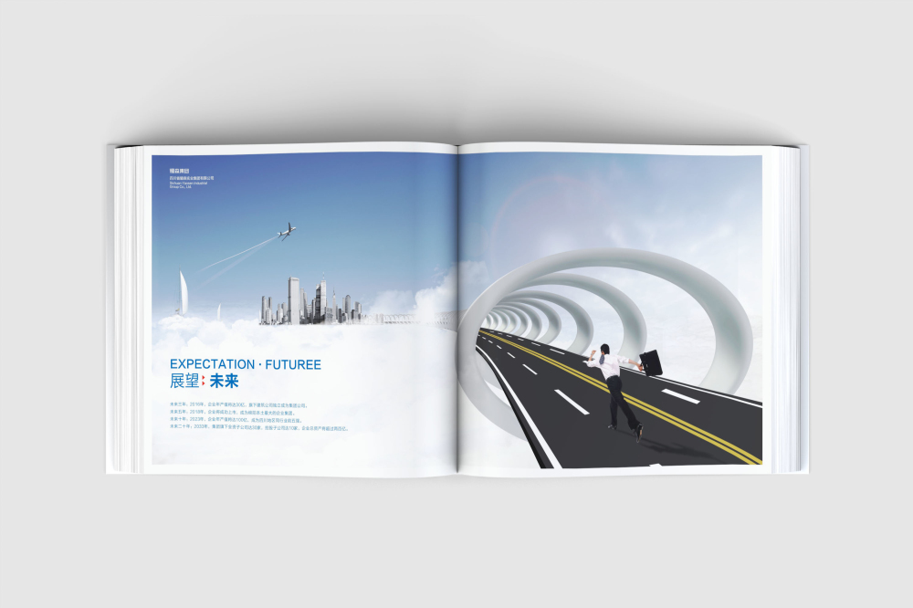 西秀区画册设计